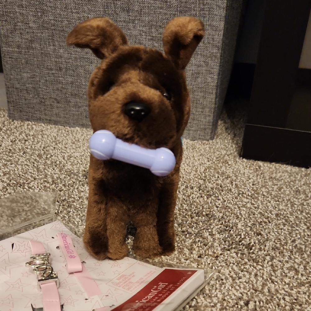 American Girl Chocolate Lab & Accessories